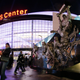 Danny Moloshok/AP Images